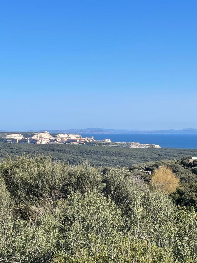 Les Chalets De La Residence A Santa Trinita Bonifacio  Esterno foto