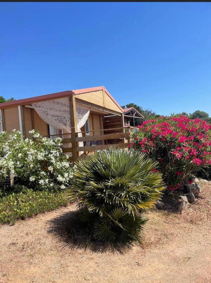 Les Chalets De La Residence A Santa Trinita Bonifacio  Esterno foto