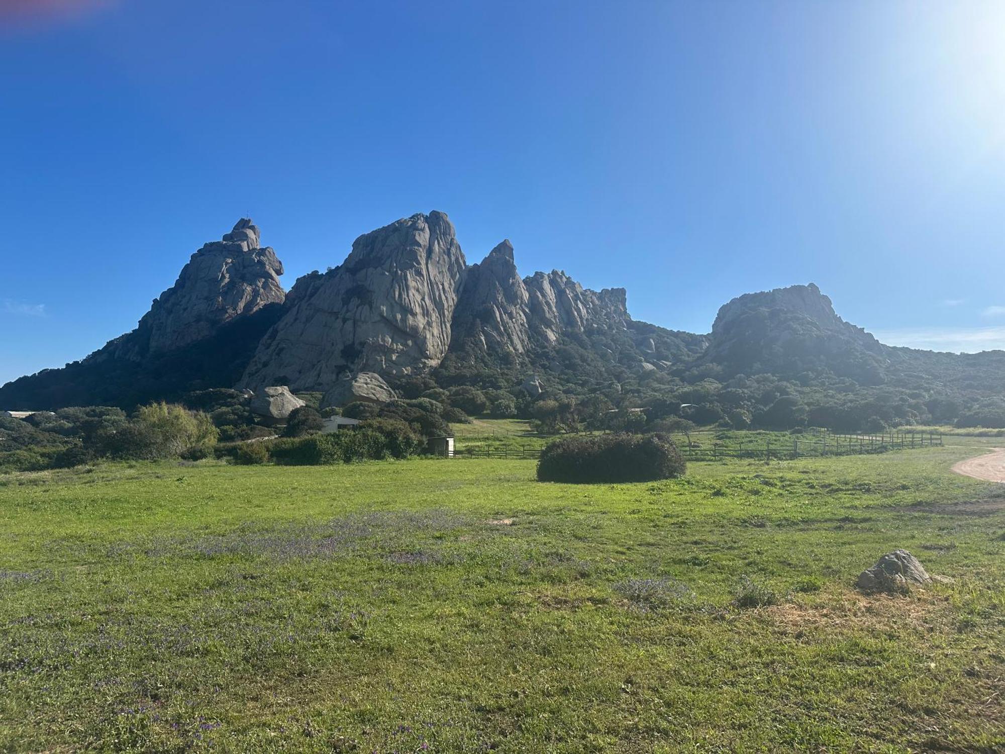 Les Chalets De La Residence A Santa Trinita Bonifacio  Esterno foto