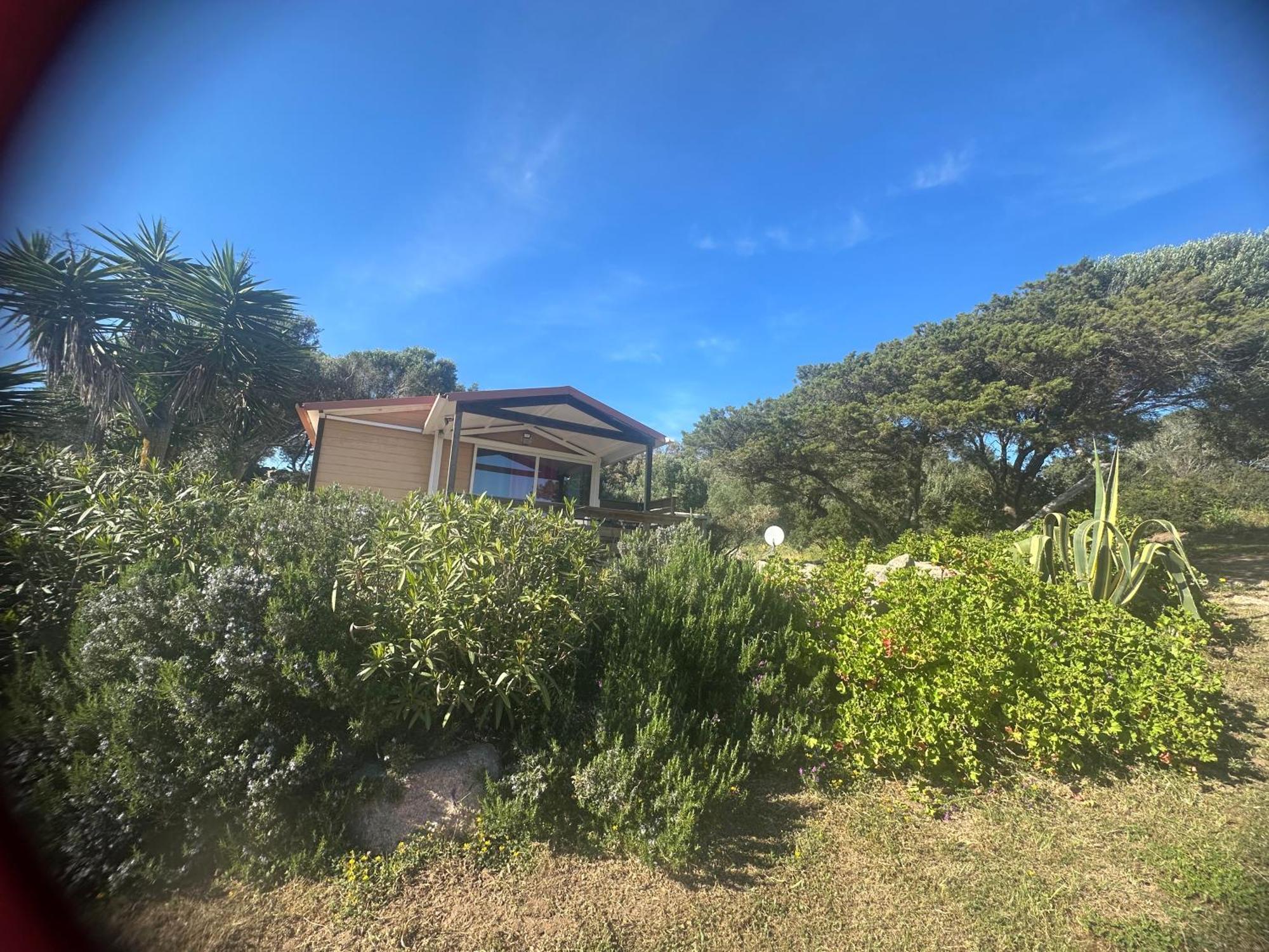 Les Chalets De La Residence A Santa Trinita Bonifacio  Esterno foto